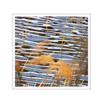 ..a tráva šumí ve větru...