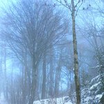 fog