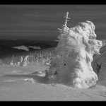 V pustině...žehnal mi křížem