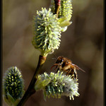 Holá příroda volá 3