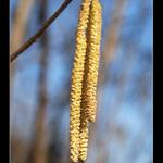 Jaro je tady a s ním i první fotka z D80ky