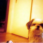 oskar