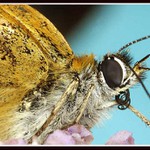 Mezipřistání na dotankování