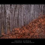 HOREM-DOLEM