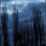  moonlight