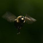 Už letíííííííím ......