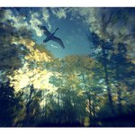 *** K výšinám ***