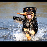 Uz beziiim, hazej znovu :)