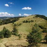 Spomienka na  leto