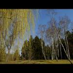 ***PARKOVÉ POHLEDY***