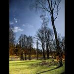 ***PARKOVÉ POHLEDY II.***