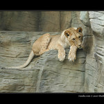 Zoo Svatý kopeček, Olomouc