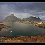 Reine