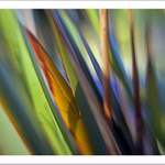 Travičky a barvičky