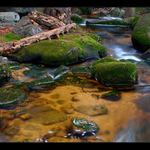 u Jedlového vodopádu II.