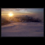 Růžové inferno...