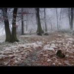 Túlavým chodníkom  XVI.