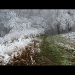 Túlavým chodníkom  XVII.