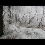 Túlavým chodníkom  XIX.