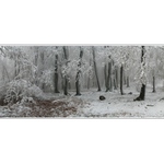 Bratislavská Koliba   I.