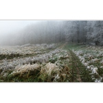 Bratislavská Koliba   II.