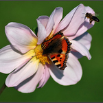 to je doba, to je doba ...