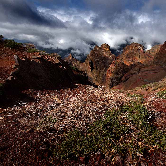 la palma
