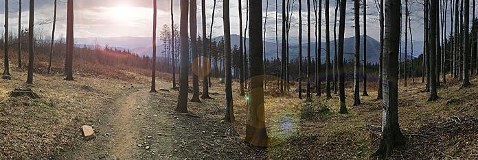 Panorama z cesty na Velký Javorník