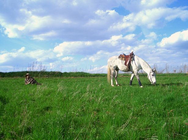 cowboy