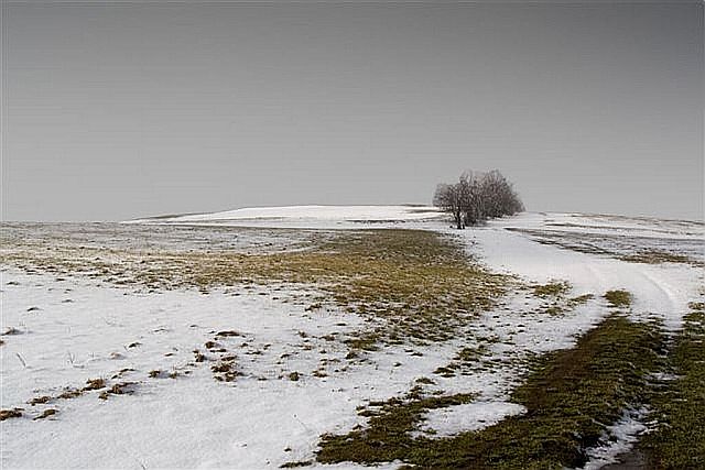 předjaří