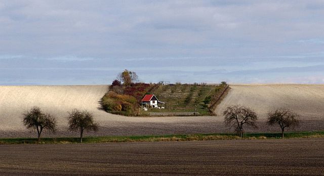 u Budčevse