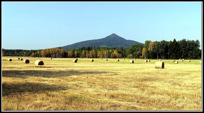 Předčasný podzim
