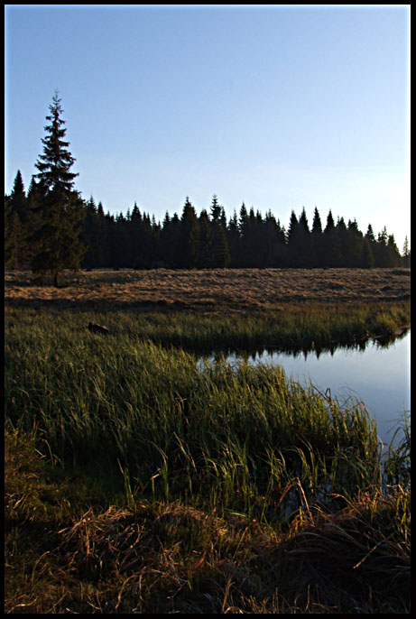 ráno