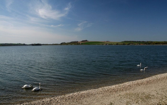 Labutě