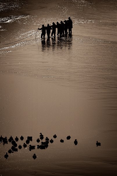 Pěšáci
