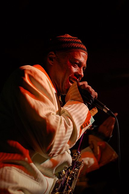 Dr Madd Vibe - Fishbone