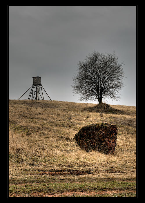 Velký kámen, strom a posed (II)