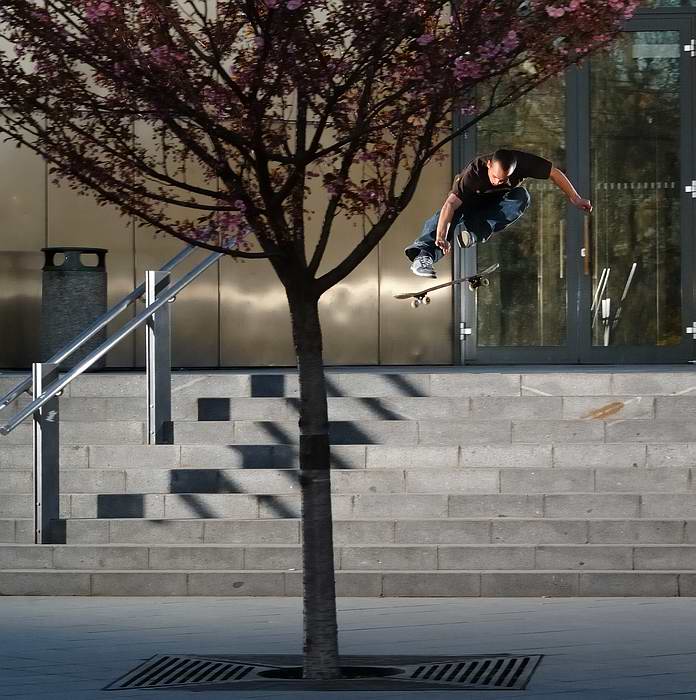 jarni popshuv-it