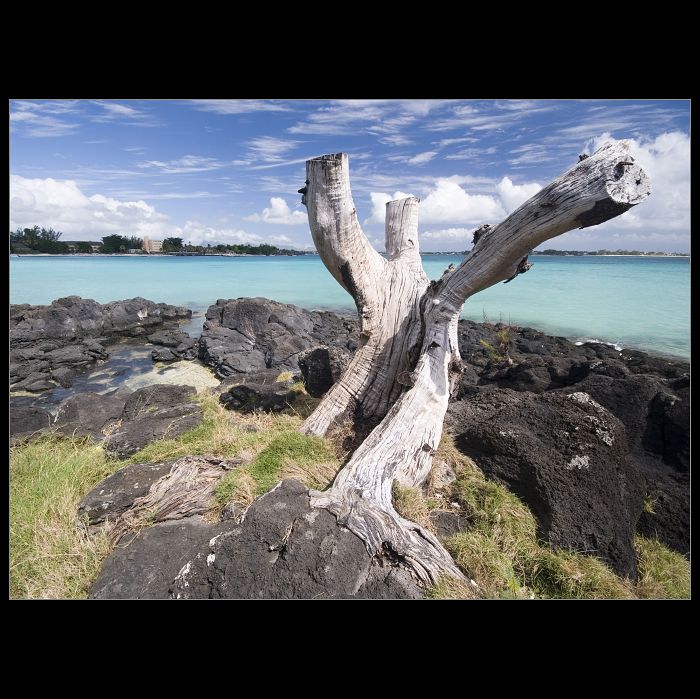Grand Baie - Mauritius