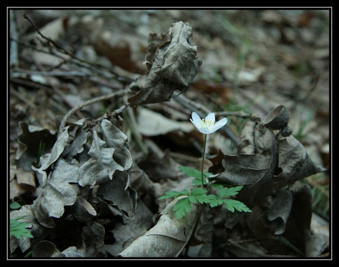 Něco končí a něco začíná
