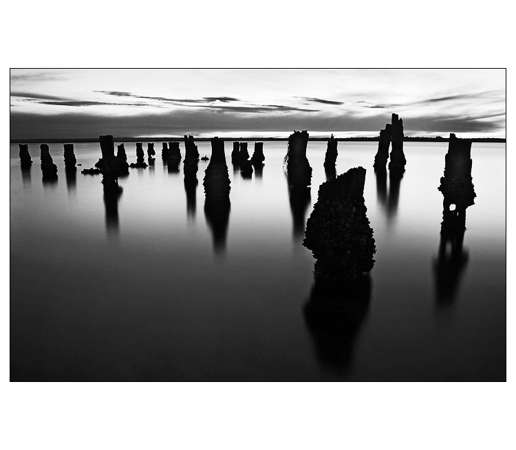 ~ Wooden Pillars II ~