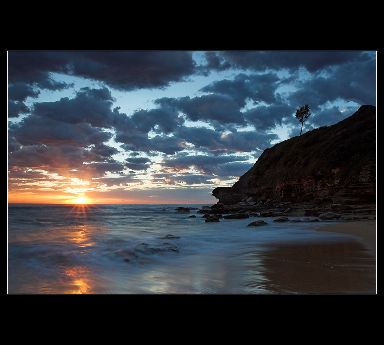 ~ Narrabeen beach ~