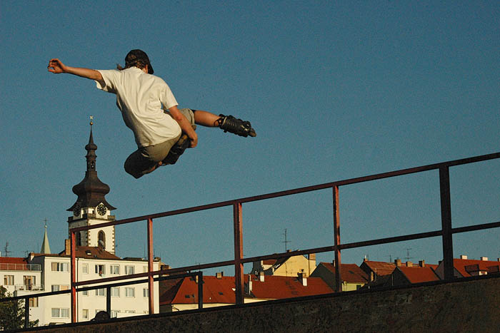 Fly