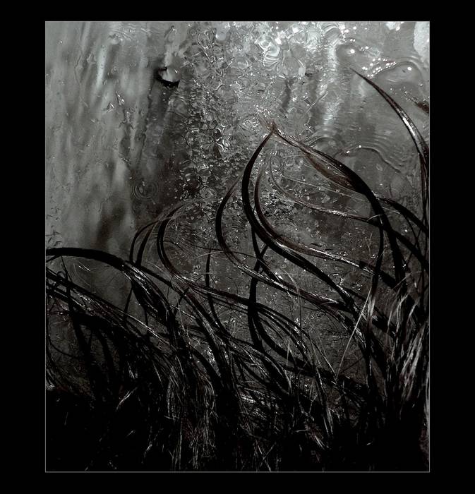 Blackwater Park