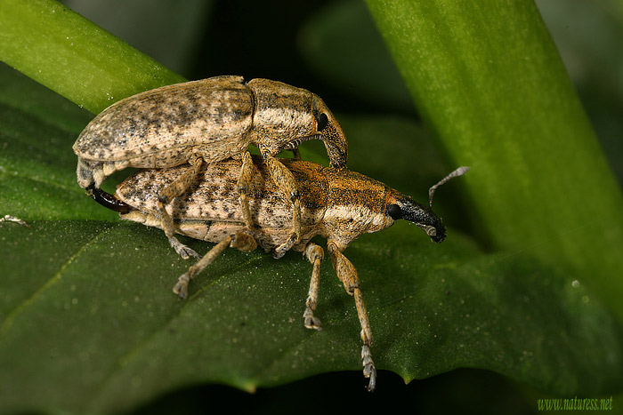 ONA:dneska to nějak nejde,ON: TAKY SI NEMŮŽEŠ NA NIKOHO VZPOMENOUT?