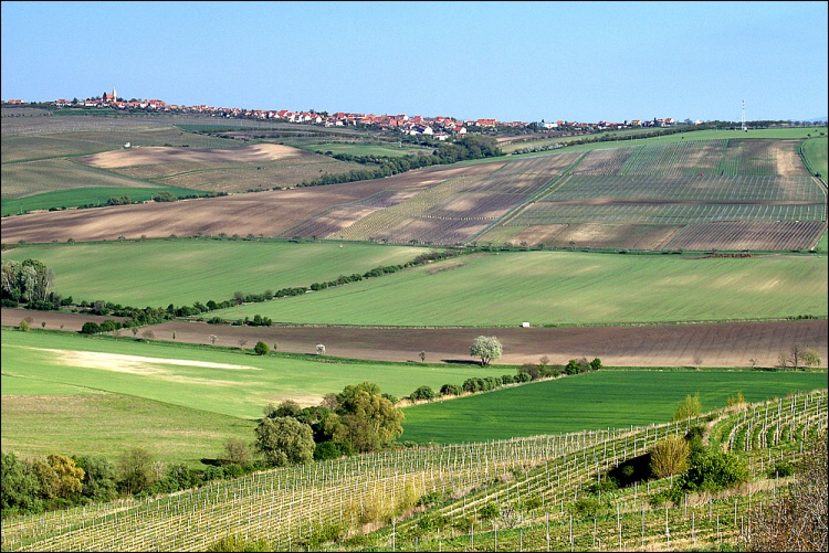 Jarní.