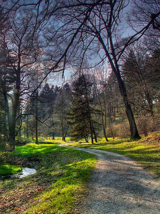 Průhonice