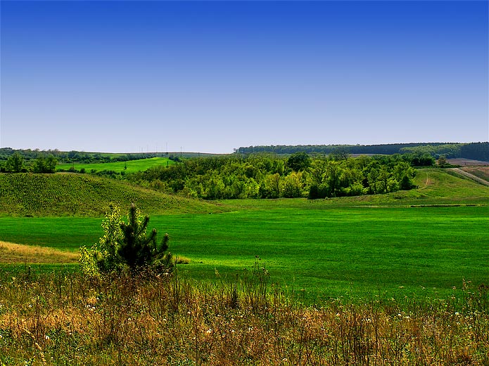 U Kralup nad Vltavou