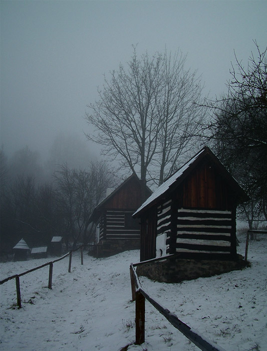 Návštěva zimního skanzenu 3