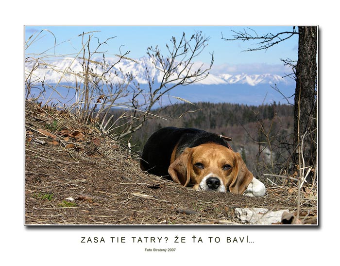 Zasa tie Tatry? Že ťa to baví ...